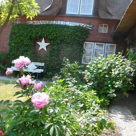 Inselstern - #109588