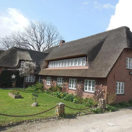 Inselstern - #109588 *